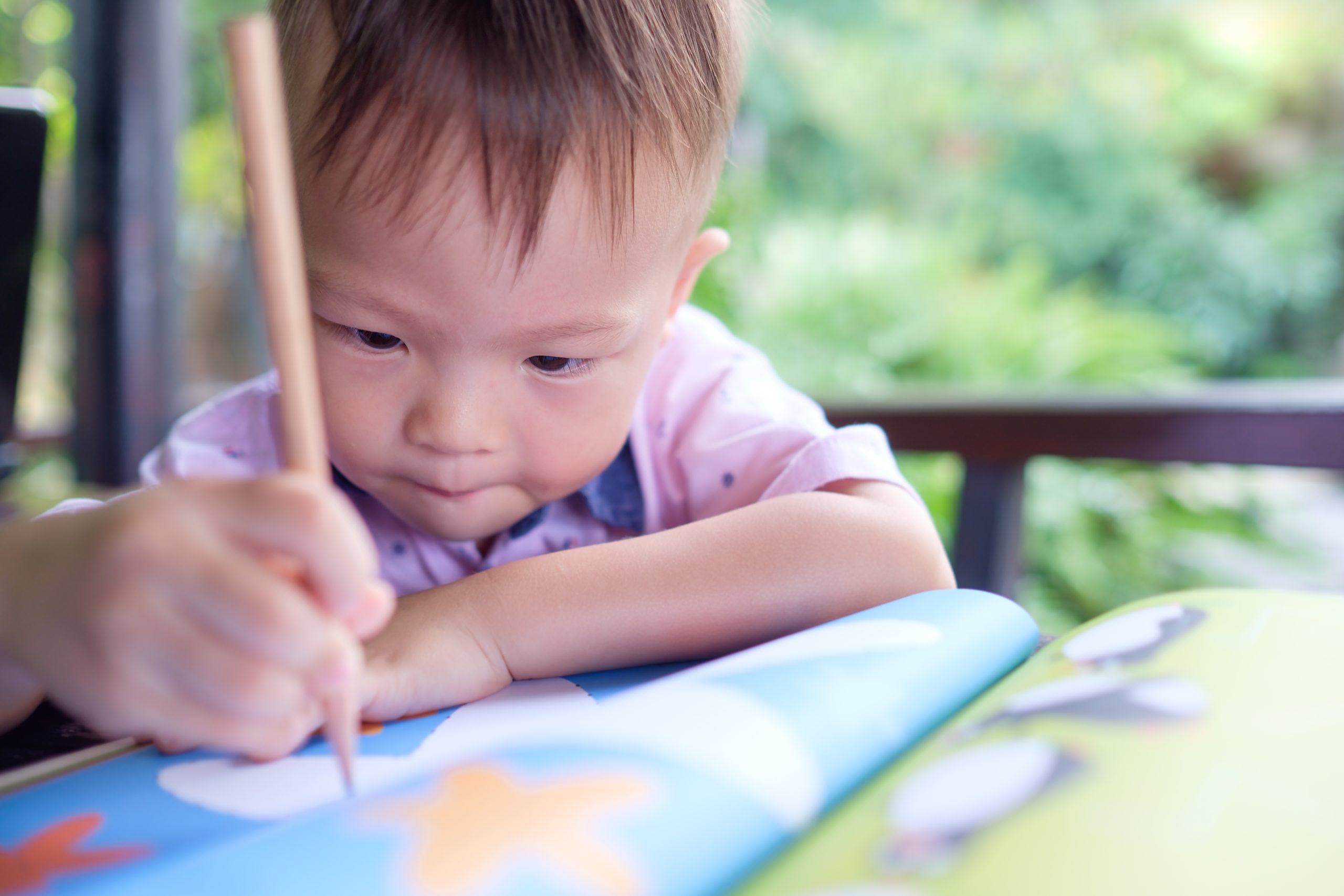 understanding-and-owning-the-curriculum-in-early-childhood-education